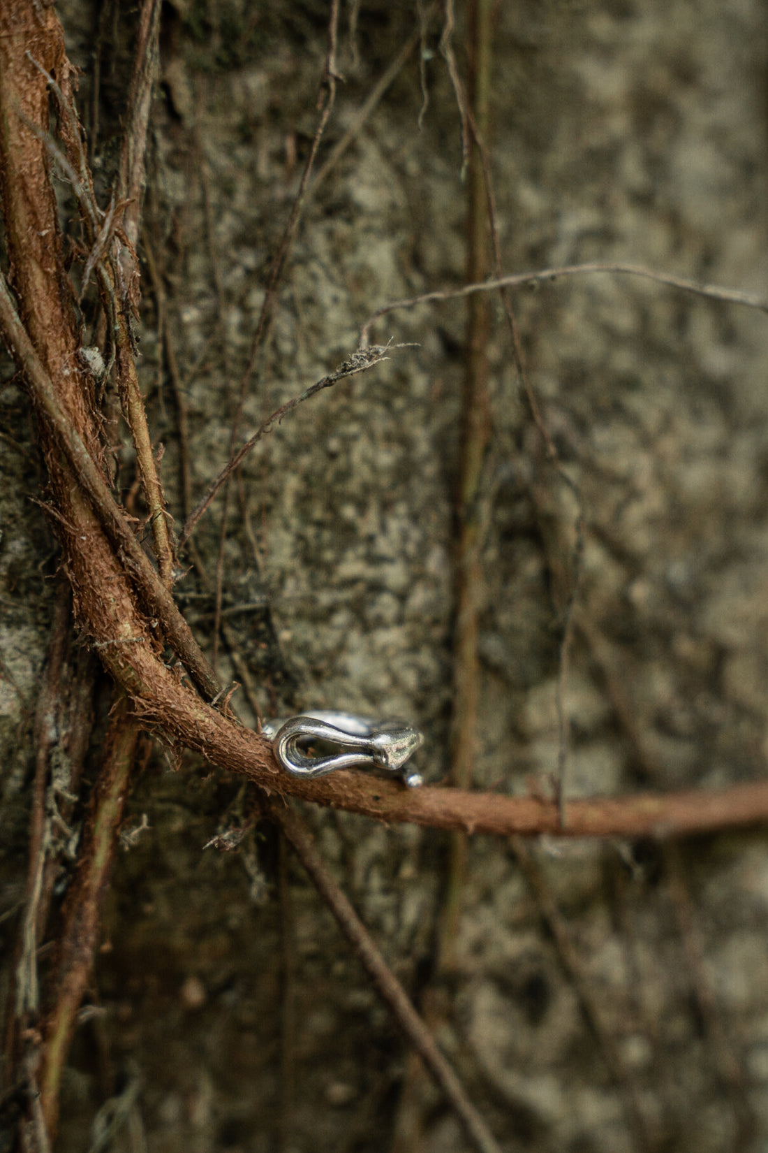 Ring CLAW Silver