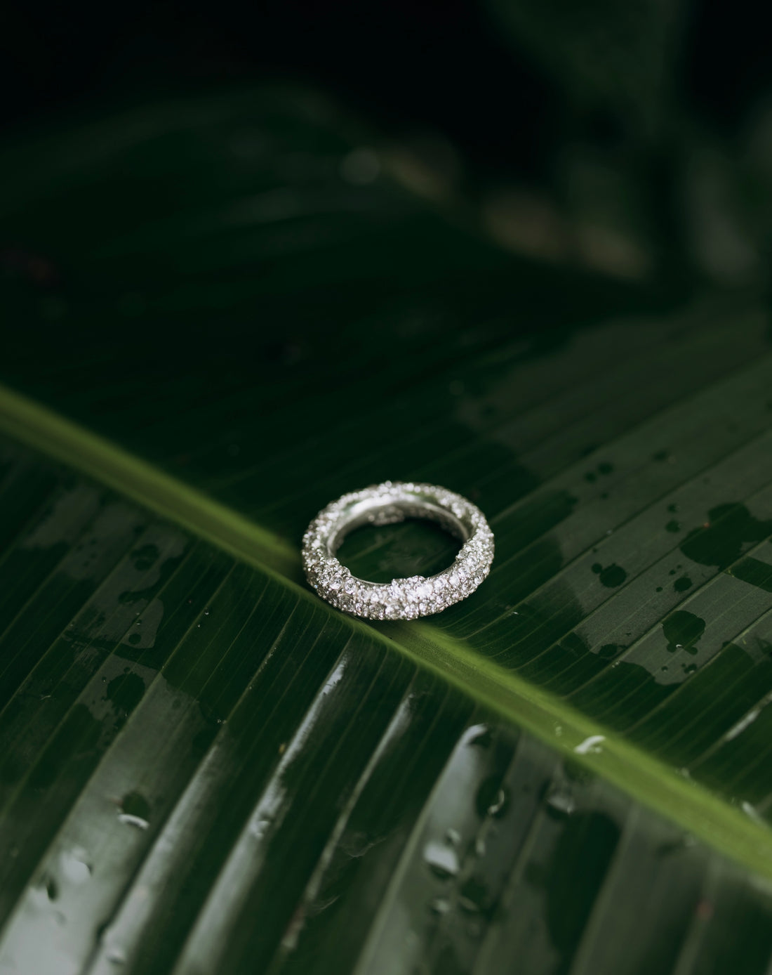 Ring VIVID Silver