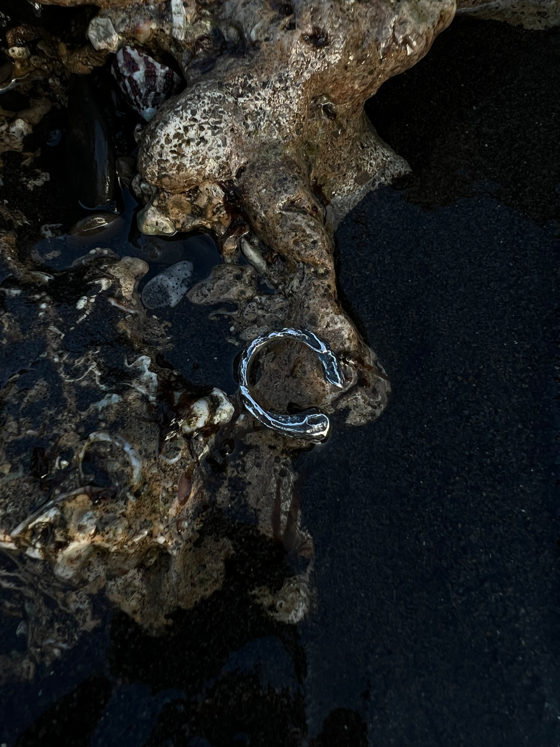 Ring ROOTS Silver
