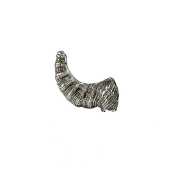 Mono Earring SHELL Silver